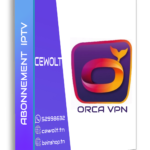 Abonnement orca vpn 12mois