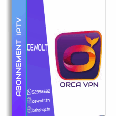 Abonnement orca vpn 12mois