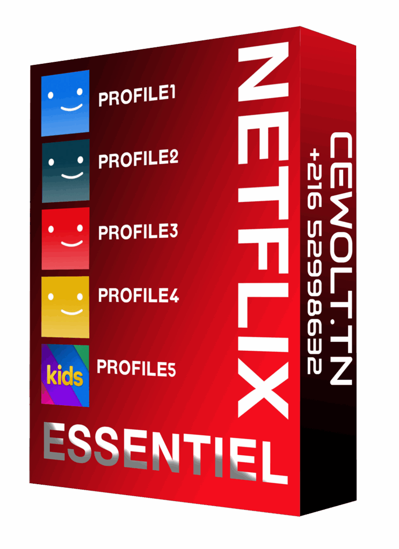 Abonnement netflix Essentiel 1mois