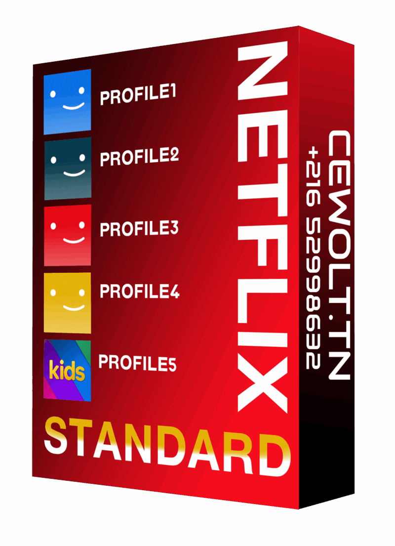 Abonnement netflix Standard 1mois