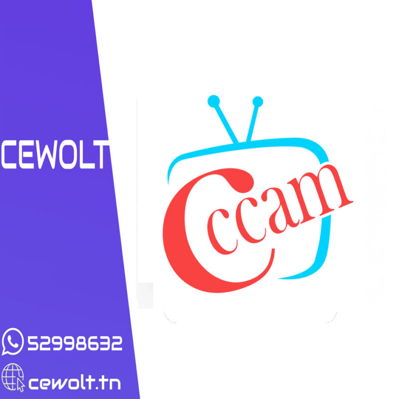 Abonnement Récepteurs sharing Cccam 12mois