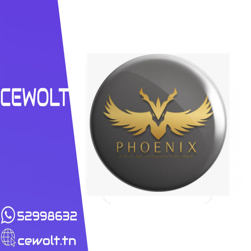Abonnement Récepteurs sharing phoenix 12mois