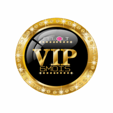 Abonnement Récepteurs Sharing Vip-12mois (bein)
