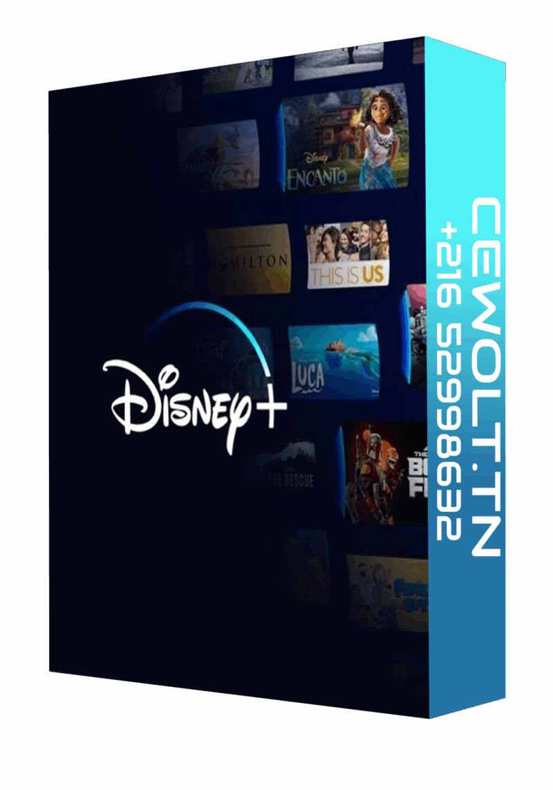 Abonnement disney+ 1mois