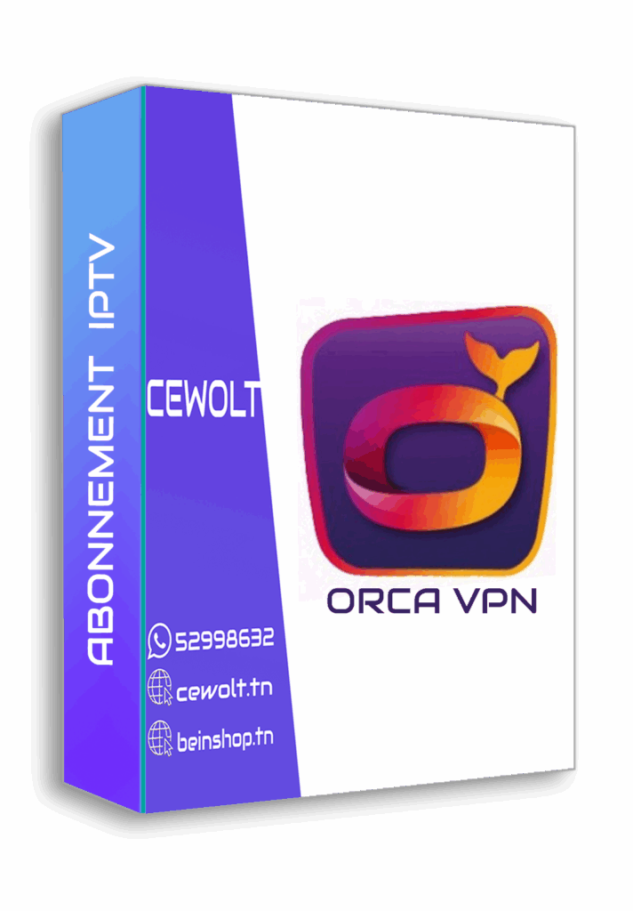 Abonnement orca vpn 12mois
