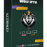 Abonnement Wolf iptv 12mois