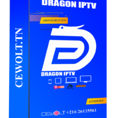 Abonnement dragon iptv 12mois